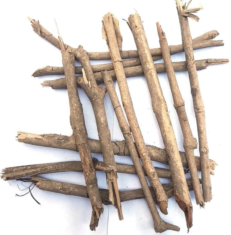 क्या आपको पता है, जामुन की लकड़ी की यह बात