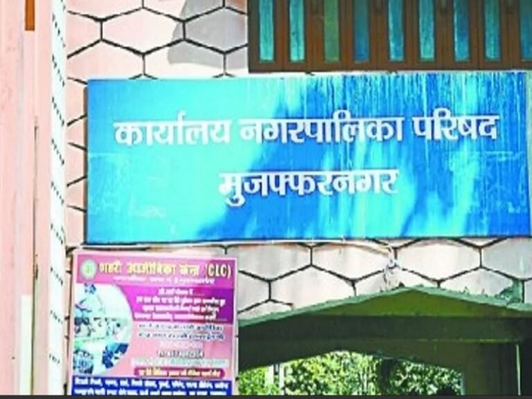 जिले की 10 में से 8 निकायों पर हुई दीपाली से पूर्व धनवर्षा