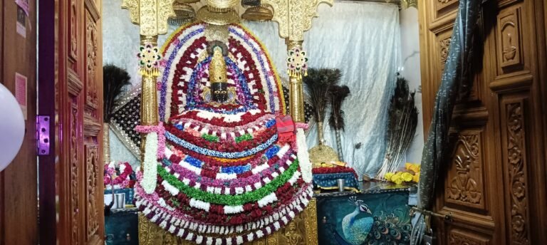 श्याम परिवार-सुखी परिवार समिति के कार्यक्रम में झूमे श्रद्धालु