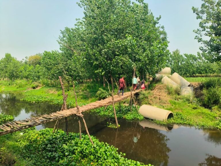 तेज आंधी-तूफान के कारण बैंकटहॉल व जिम की उड़ी छत