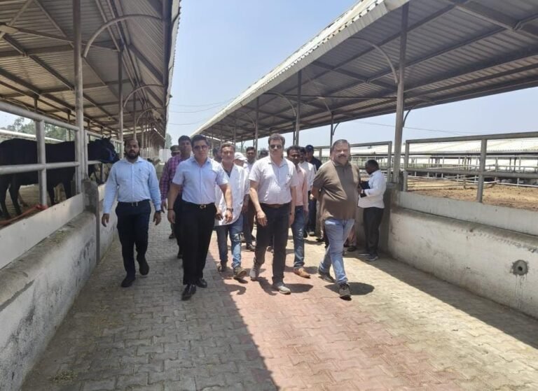 प्रदेश के हर जनपद में मॉडल के रूप में बनेगी काऊ सेंचुरी: नोडल अधिकारी