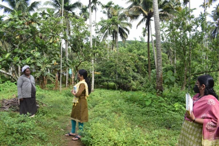 5 अप्रैल तक कराएं कीटनाशी रजिस्ट्रेशन, अन्यथा पड़ेगा भारी: कृषि रक्षा अधिकारी