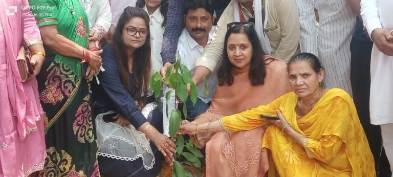 स्वच्छता और पर्यावरण संरक्षण हर नागरिक की जिम्मेदारीः मीनाक्षी स्वरूप