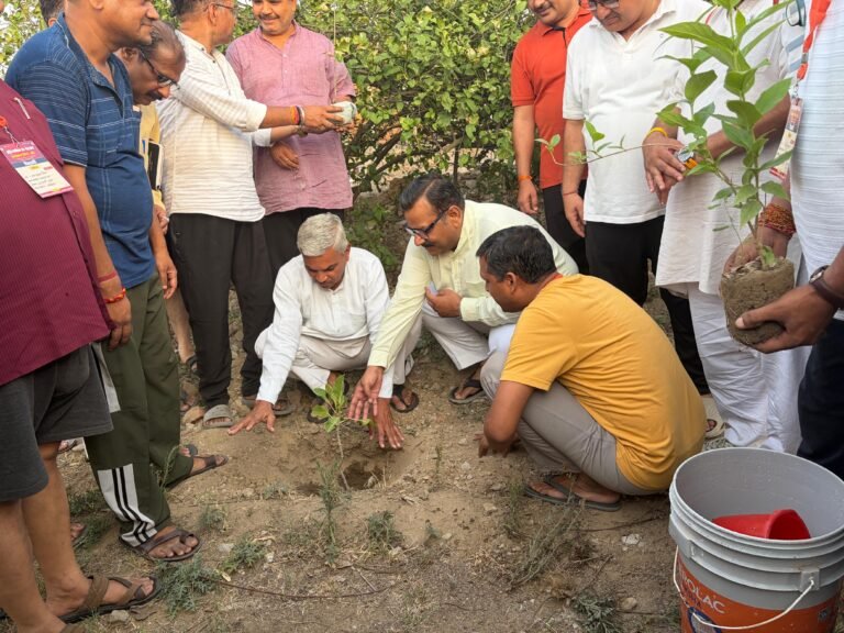 राष्ट्रीय स्वयंसेवक संघ ने विश्व पर्यावरण दिवस पर किया व्यापक वृक्षारोपण और संरक्षण का संकल्प