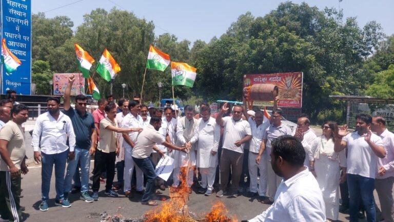 रसोई गैस, डीज़ल पेट्रोल के दामों में बढ़ोतरी और स्मार्ट मीटर के विरोध में कांग्रेस कार्यकर्ताओं ने फूंका पुतला