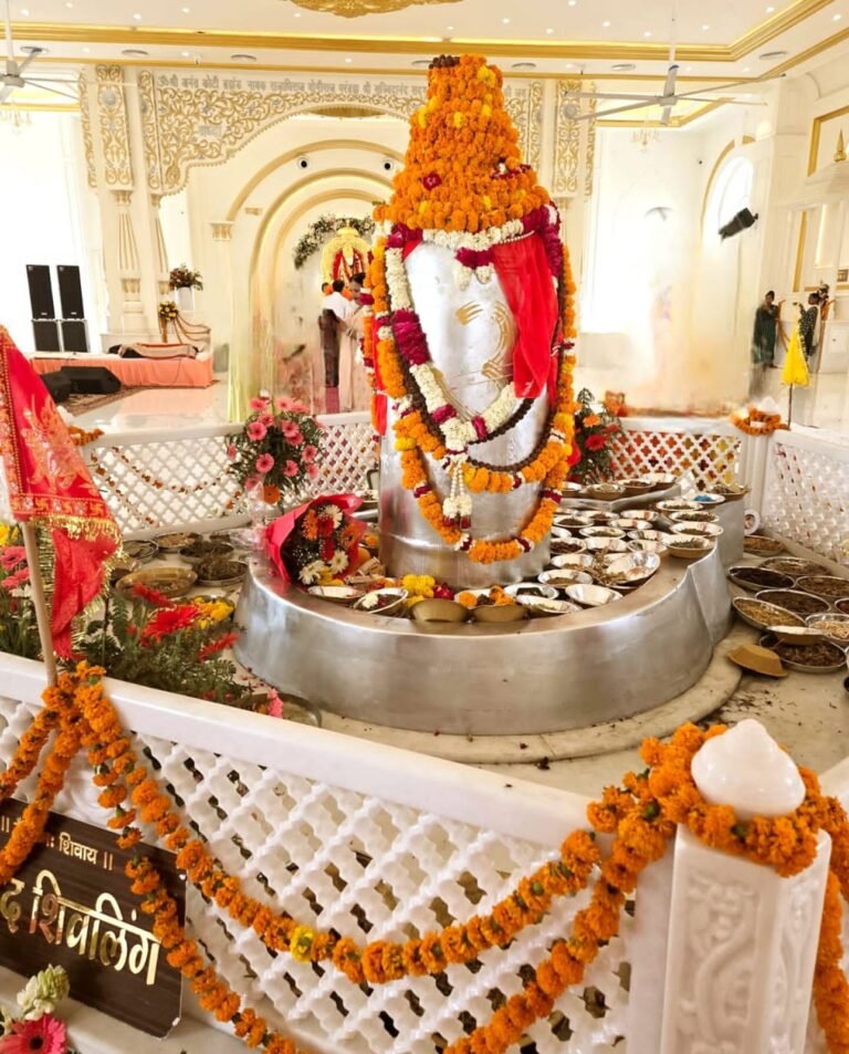 विश्व के 5211 किलो वजनी विशाल पारद शिवलिंग की हरिद्वार में प्राण प्रतिष्ठा सम्पन्न