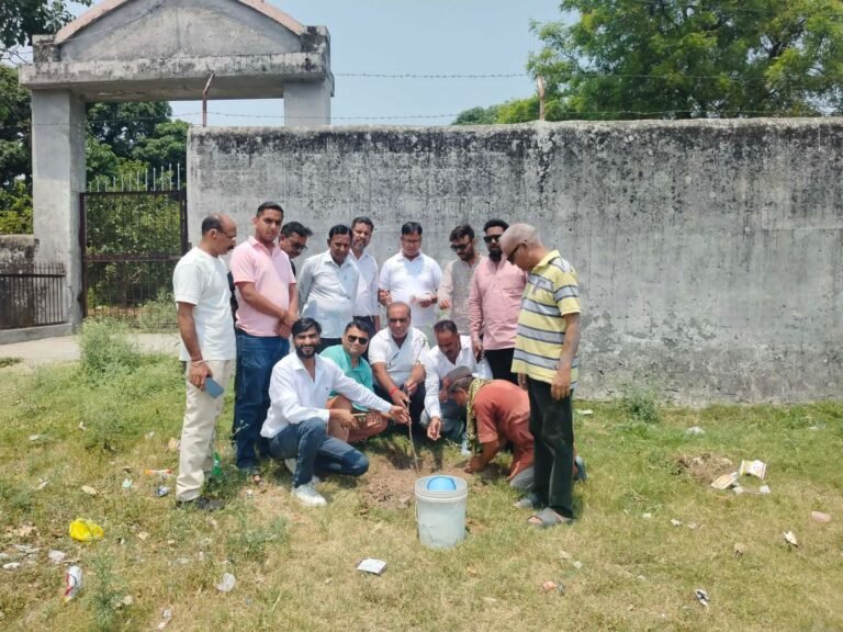 यूथ कांग्रेस कार्यकर्ताओं ने पौधारोपण कर मनाया राहुल गांधी का जन्म दिन