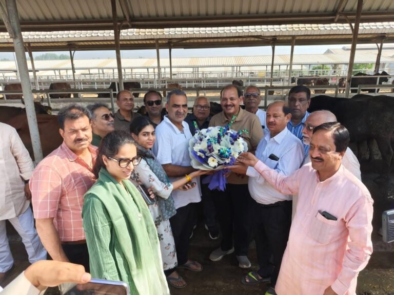 डॉ संजीव बालियान ने अपने जन्मदिन की शुरुआत परिवार व इष्टमित्रों के साथ काऊ सेंचुरी में वैदिक यज्ञ व गोसेवा से की