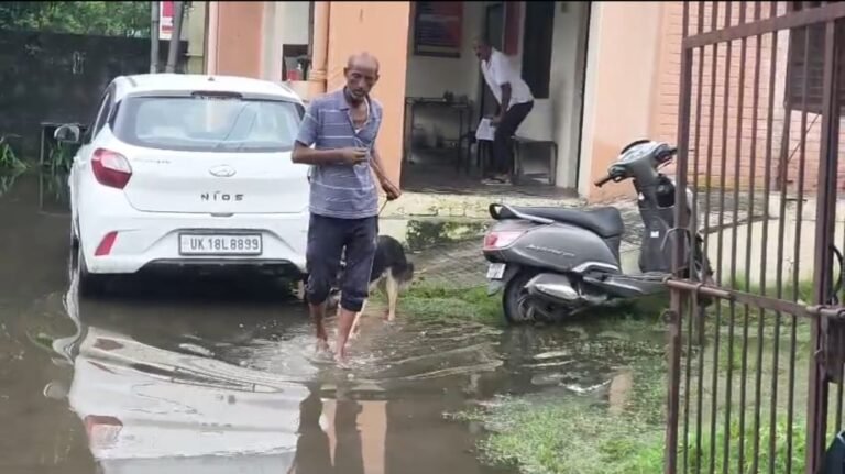 बारिश में जलभराव से पशु चिकित्सालय बेहाल, गंदे पानी से होकर गुजरने को मजबूर ग्रामीण